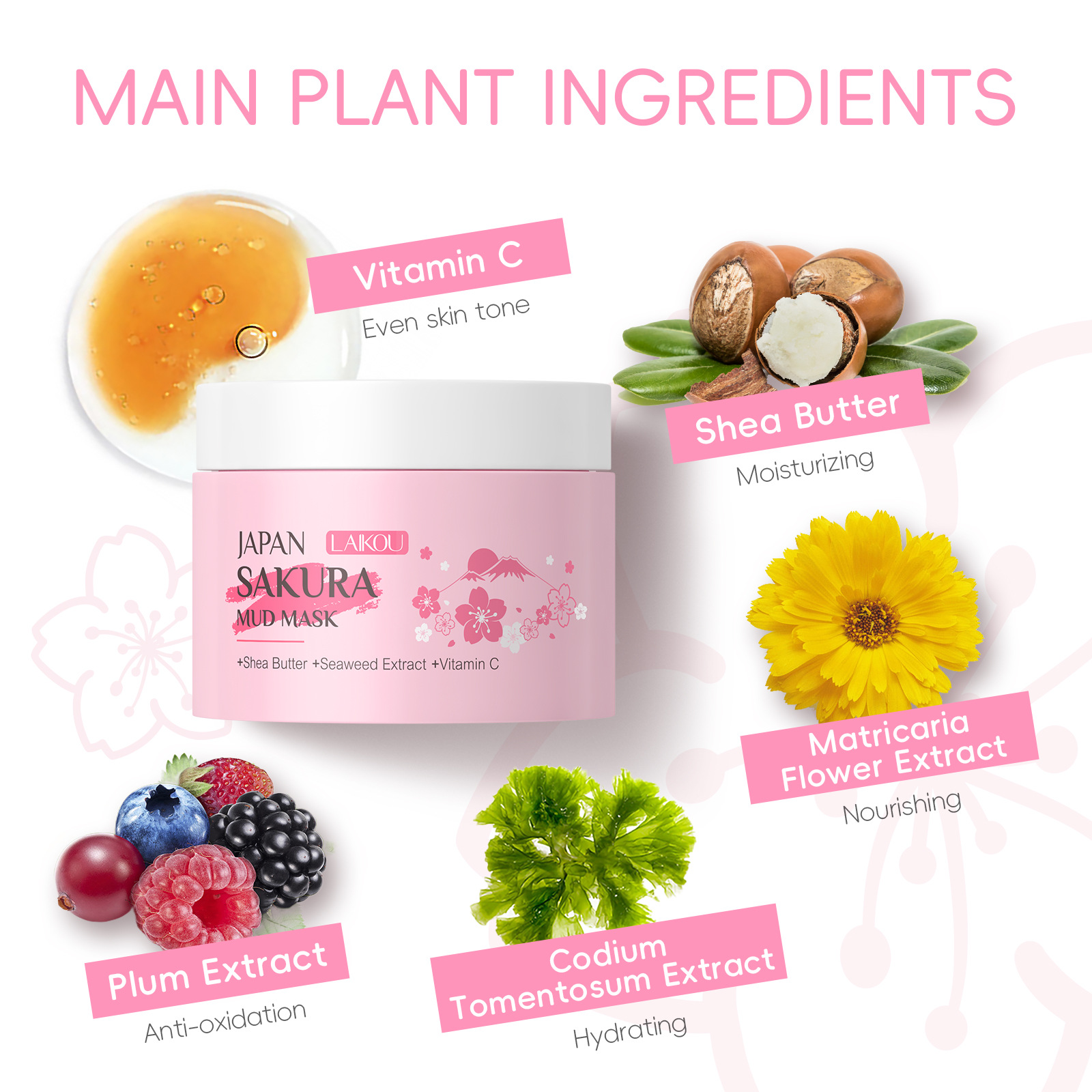 LAIKOU Sakura Clay Mask 25g 90 - Dust Mask Construction review and price